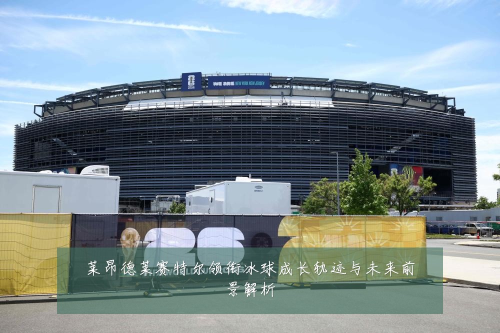 莱昂德莱赛特尔领衔冰球成长轨迹与未来前景解析
