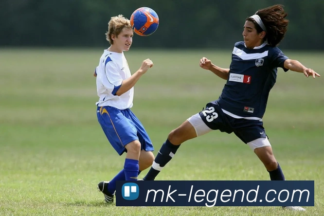 MK体育平台展示图